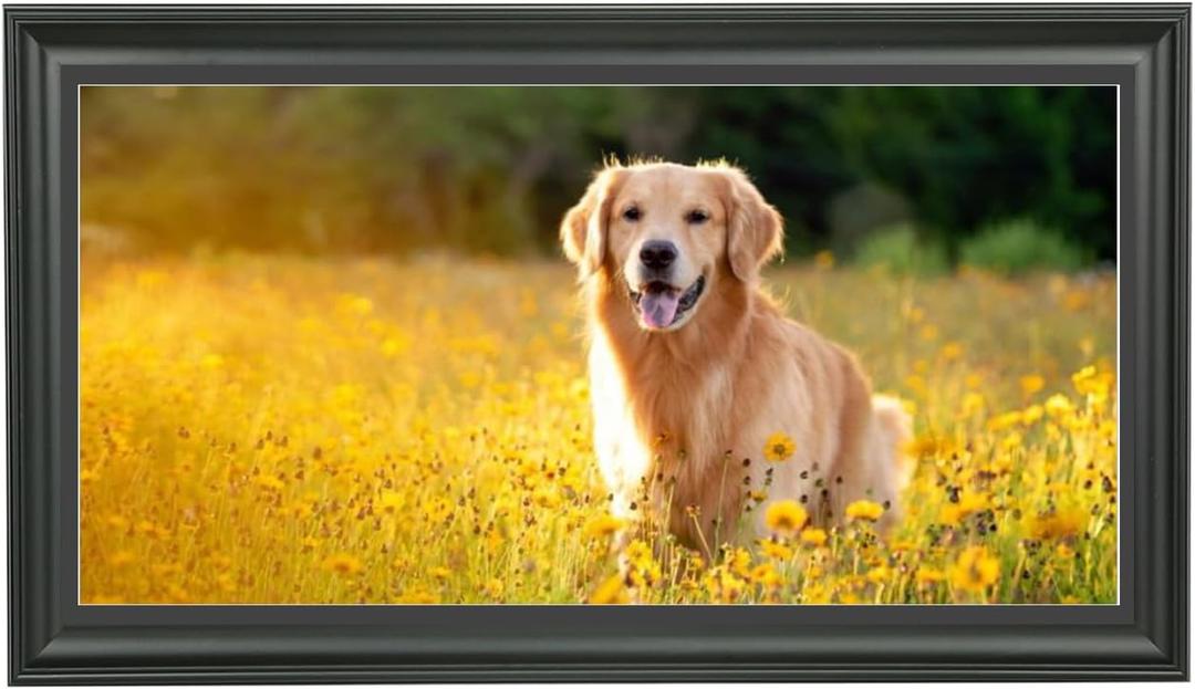 LTYHHK 12x23 Panoramic Picture Frames Solid Wood with Black Mat 11x22 Newspaper Frame ,Displays Picture11x22 with Mat or 12x23 Inch without Mat, Poster Frame 12x23 Photo Frames Family Wall 11x22