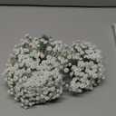 30 Pcs White Artificial Baby's Breath Flowers, Lifelike Rubber Fake Gypsophila Bouquets, 8.26" Short Stems with 1350 Blooms for Wedding Centerpieces, DIY Floral Arrangements & Home Decor