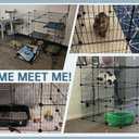 Oneluck 3-Tier Cat Cages Indoor Enclosure DIY Cat Playpen Catio Detachable Metal Wire Kennels Cats Crate Large Extra Exercise Place Ideal for 1 Cat,35.4 Inches