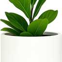 Fox & Fern Plant Pot, Large Plant Pots for Indoor & Outdoor, UV & Frost Resistant Plant Vase with Drainage Plug, Fiberstone, Large Indoor Pots for Plants & Flowers, House Indoor Plant Pot, Single Pot, 18.7 Inch