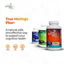 True Moringa Plus+ Focus Support Supplement 10:1 Extract | 20,000mg of Organic Moringa, Reishi, Cordyceps, Lions Mane, Ashwagandha, Bacopa Monnieri | Memory & Brain Health for Adults (150 Capsules)