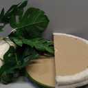 Go Pet Club 38" Tall Cat Scratching Post with Sisal Rope, Interactive Dangling Balls and Spring Ball
