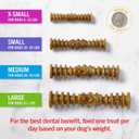 2 x Stella & Chewy's Dental Delights with Freeze-Dried Chicken - Medium Dental Treats for Dogs, 5.5 Ounce Bag (EXP 11/07/25)