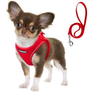 Fida Comfy Dog Harness with Leash, Soft Puppy Vest Escape Proof, Breathable Lightweight Soft Mesh, Adjustable Reflective Step-in Harness for Cat & Extra-Small Pet (XS, Red)