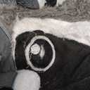 DarkCom Onesie Christmas Pajamas Adult Animal Halloween Costume Cosplay Gray Raccoon One Piece Unisex Homewear Polar Fleece Sleepwear X-Large