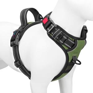 PHOEPET No Pull Dog Harness with Handle Front & Back Clip, Easy on Lockable Snap Buckle at Neck, Adjustable Reflective Vest with Handle for Dogs (M, Misty Green)