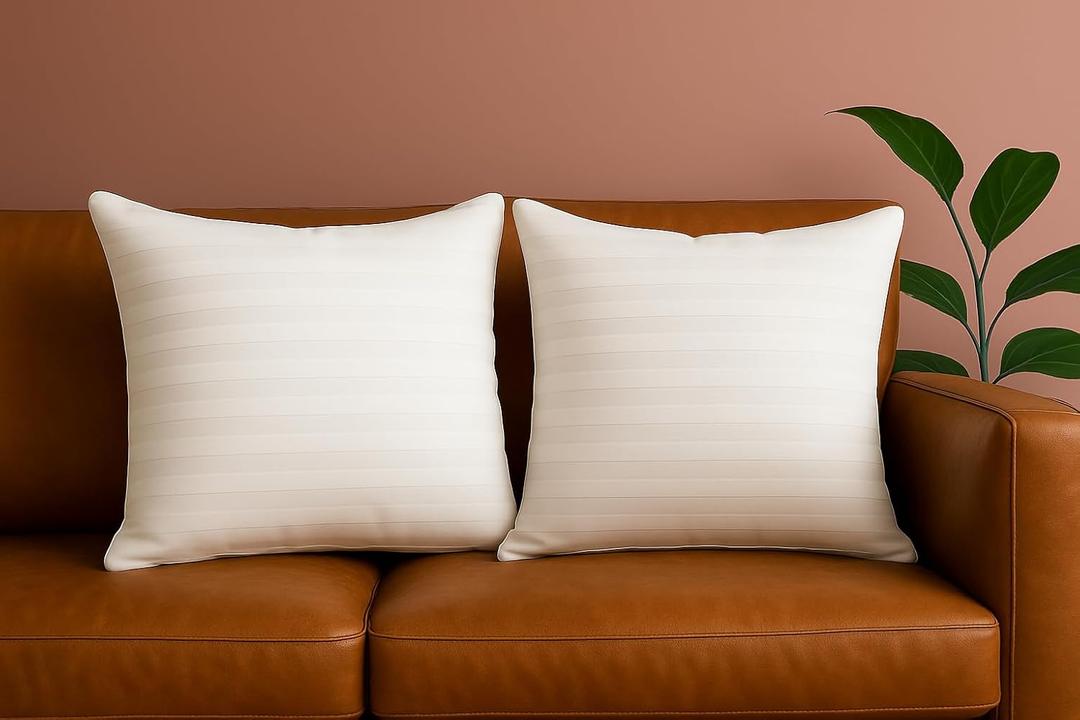 Trendy Home 16x16 Throw Pillow Insert (Set of 2, White) Bed and Couch Pillows Stuffer Hypoallergenic, Decorative Home Outdoor Sofa Pillow Filler (Machine Wash, 2 Pack)