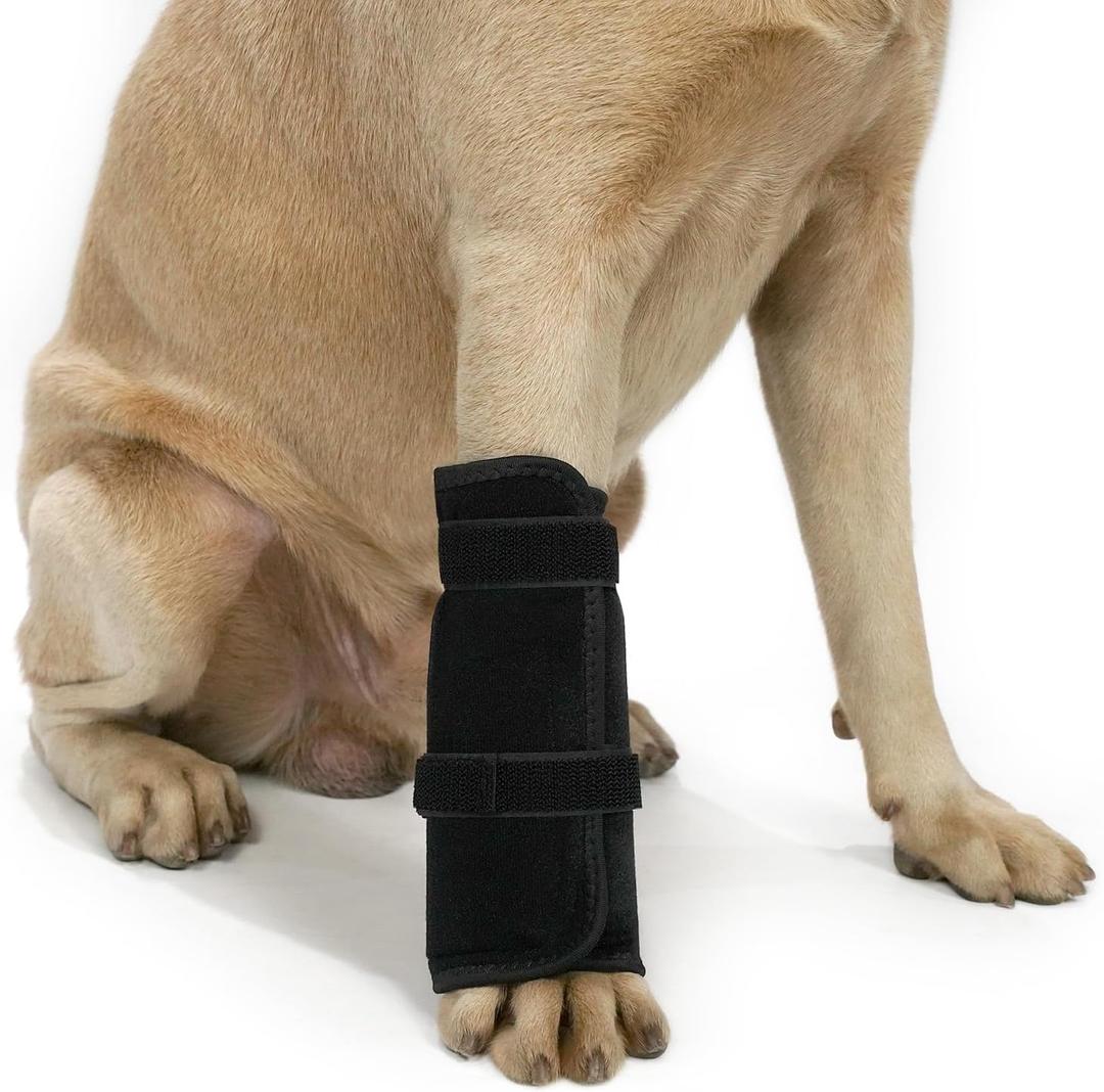 Dog Front Leg Knee Brace with Aluminum Splint for Post-Surgery Recovery, Front Leg Support Wrap to an Alternative to a cast, Adjustable Straps for Joint Protection and Healing (Black, L)