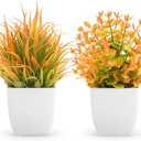 Der Rose 2 Pack Small Fall Fake Plants Mini Artificial Potted Plants Fall Table Office Decor for Home Desk Bathroom Decoration