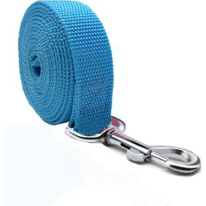 TAIAN 4FT/5FT/6FT Strong Dog Leash, Nylon Dog Leashes for Small Medium Large Dogs (Blue, 1 in x 15 ft)