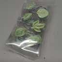 Gibelle 12PCS Leaves Shower Curtain Hooks, Green Plant Leaf Decorative Shower Curtain Hooks Metal Rustproof Cute Eucalyptus Shower Curtain Rings Bathroom Decoration Accessories