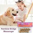 Dog Memorial Gifts for Loss of Dog, Pet Memorial Gifts for Dogs, Paper Decorations for Funeral, Dog Bereavement Gift-Pet Sacrificial, Rainbow Bridge Messenger (Pack of 3)