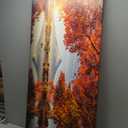 Canvbay Framed Canvas Prints Mount Fuji Wall Art Japanese Mountain over Lake in Sunrise Modern Nature Landscape Pictures Red Maple Leaves Canvas Print Nature Scenery Wall Decor for Home 20x48inch