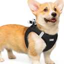 rabbitgoo Small Dog Harness, Step-in Soft Mesh Puppy Vest with Safety Buckle, Breathable Reflective Pet Harness for Dogs, Black L