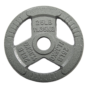 Cast Iron 2-Inch Weight Plates for Strength Training & Weightlifting, 50LBS total, Two Plate Set, 25lbs each