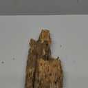 kathson Natural Large Aquarium Driftwood Decoration Branches Reptiles Terrarium Ornament Wood Fish Tank Habitat Decor Assorted Sizes Wood L:Mopani Driftwood (14.5 to 18.5 inches) 1 Pack))