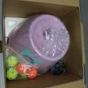 Automatic Dog Ball Launcher, Dog Ball Fetch Machine with Remote Control, Auto Ball Thrower for Small Dogs and Puppies, Pet Self Playing Toys, Indoor and Outdoor Interactive Toys with 10 Balls