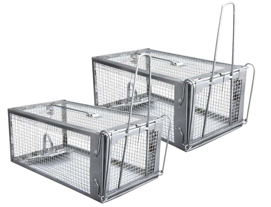 Gingbau 2-Pack Rat Traps Humane Live Chipmunk Mouse Trap Cages for Indoor and Outdoor Use