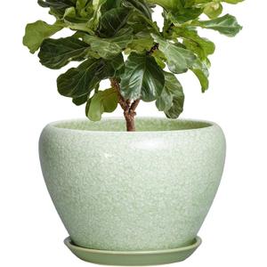 10 Inch Planter - Ceramic Plant Pots for Indoor Outdoor Plants, Indoor Pots for Plants with Drainage Hole and Saucer, Round Planter, Room Decor, Gifts for Plant Lovers, Crackle Light Green