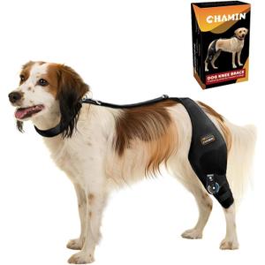 CHAMIN Adjustable Dog Knee Brace for Torn ACL Hind Leg, Support for Tear Ligament, Osteoarthritis, Rear Leg Limp, Recovery After Surgery,et(Left Leg,M)