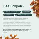 Dr Sosnowski's | Bee Fuelled | Fight Tiredness & Promote Sustained Energy | Potent B-Vitamin Complex | Vegetable Capsules, 60ct