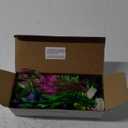 Ameliade Fish Tank Artificial Plastic Plants Decorations Large Aquarium Decor Betta Goldfish Tank Accessories Fish Bowl OrnamentsColorful