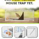 Motel Mouse Humane Mouse Traps No Kill Live Catch and Release 2 Pack - Reusable, Easy to Use & Clean, No Touch Release, Sensitive Includes Cleaning Brush, Instruction Manual & Video - Mousetrap Indoor