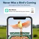 PeckCam Bird Feeder with Camera Solar Powered, AI Identify & Auto Capture with 32GB Card, 2K HD Live Video Smart Bird Feeder Camera Instant Notifications in Backyard, Gift for Bird Lovers