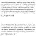 How Much More - Bible Study Book: Discovering Gods Extravagant Love In Unexpected Places