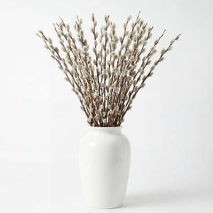20 Stems 31.5'' Real Dried Pussy Willow Branches for Vases 100% Natural Tall Snow Pussy Willows with White Flowers Live Plant for Wedding Home Hotel Fireplace Yard Decor