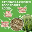 Just Try 16 OZ Cat Grass Jerky Treats for Indoor Cats Natural Chicken Healthy Cat Snacks Training Biscuits Hairball Control & Digestive Aid for Cats (EXP 10/09/26)