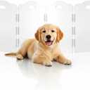 Clear Acrylic Dog Gate Indoor, Free-Standing Pet Gate, 24" Height (Size M) Foldable 6 Modular Panels, Dog Fence for Doorways, Hallways, Stairs, No Drilling, Perfect for Puppies and Small Pets