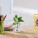 POPETPOP Hydroponic Vase Lid with Hole Wooden Cork Cover for Glass Planter Ventilated Hydroponic Plant Holder Compact 2.56 Inch Lid for Micro Landscape and Indoor Gardening