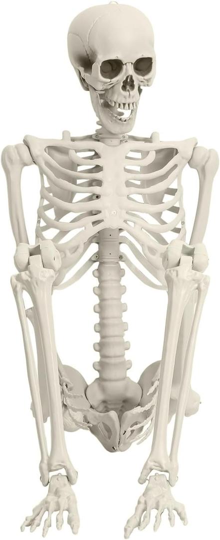 5.4Ft Posable Skeleton Halloween Decorations Outdoor, Plastic Life Size Skeleton with Movable Joints for Graveyard Prop, Halloween Toys Indoor Outdoor Haunted House Party Decor, White 