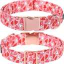 Lionet Paws Valentines Dog Collar Bowtie, Dog Bowtie Collar with Metal Buckle for Dogs, Adjustable Comfortable Dogs Collars Girl Boy, XL, Neck 16-26 in (Red Pink Hearts)