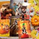 2 x Fancy Land Kids Thanksgiving Cards Cute Animal Fall Pumpkin Greeting Card with Envelopes for Autumn Holiday Supplies Party Favors 12Pcs