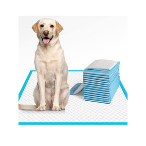 FPN Charcoal Puppy Pads 13x18 Inch  Pack of 100  Odor-Control Super Absorbent 5-Layer Leak-Proof Disposable Pee Pads for Dogs, Cats & Rabbits  Ideal for All Pets
