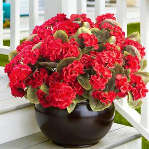 Grunyia 8 Bundles Artificial Geranium Flowers for Outdoors UV Resistant Faux Silk Flowers Realistic Fake Plants No Maintenance for Garden Porch Home Kitchen Table Centerpieces Decor (8, Red)