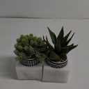 Winlyn Set of 2 Assorted Small Potted Succulents Arrangement Artificial Succulent Plants in Black and White Geometric Pots for Table Centerpiece Windowsill Shelf Indoor Outdoor Garden Greenery Decor
