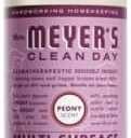 Johnson SC & Sons 1004246 Clean Day Multi-Surface Concentrate Pony Cleaner - Pack of 6
