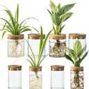 Glass Plant Propagation Stations for Plants Set of 8(4 Large & 4 Small) Hydroponic Vases for Plant Cuttings,Flower Arrangements, Home & Office DecorDesktop Vases for Living Room, Bedroom (8)