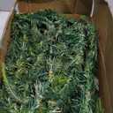 Retrowavy 200 Pcs Christmas Garland Ties 12 Inch Christmas Garland Artificial Pine Garland Soft Green Garland for Christmas Holiday Craft Decorations Gift Wrapping