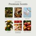 Drift Home Scent Diffuser Starter Kit in Teak - Adjustable and Long Lasting Diffuser Aroma - Clean Ingredients, Pet Safe