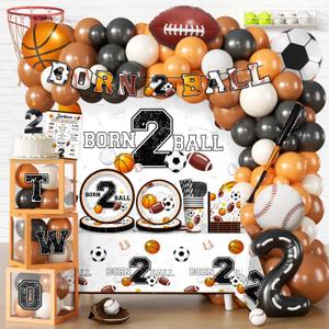 291 PCS Born 2 Ball Birthday Decorations, All-in-One Party Pack with Backdrop, Balloon, Plates and Napkins, for Ball Themed 2nd Birthday Party, Serves 25 Guests