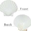 SEAJIAYI 6PCS Scallop Shells for Serving Food,Baking Shells Large Natural White Scallops from Sea Beach for DIY Craft Decor 4-5 Inches