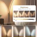 Modern 85.4" Arc Floor Lamp for Living Room, 2 Lights Arched Standing Tall Lamp with Remote, X-Shaped Bright Curved Lamp, Dimmable LED Corner Light for Bedroom, Office, Black, B61LD05W1