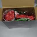 Vesici 124 Pcs Christmas Plastic Cups Bulk with Lids Straws Stickers Raffia Snowman Santa Claus Plastic Cups Xmas Disposable Clear Mugs Party Favor Holiday Birthday Wedding Party Supplies, 24 Sets (Red and Green)