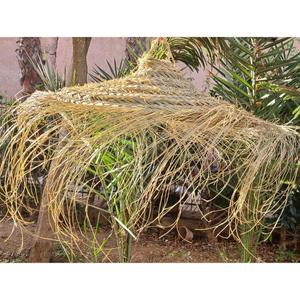 Raffia lamp Handmade, Pendant Light Shade, Pendant Lighting, Boho Lighting, Moroccan Light Pendant, Hanging lamp Straw, Handmade lamp,