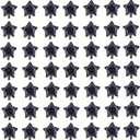 Vibrant Star Party Balloons – 50pcs 5inch Decorative Mini Balloons Star Foil Balloons for Celebrations Birthday Graduation Wedding Bachelorette Party Favors (Black)