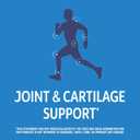 21st Century Arthri-Flex Advantage + Vitamin D3, 120 Coated Tablets